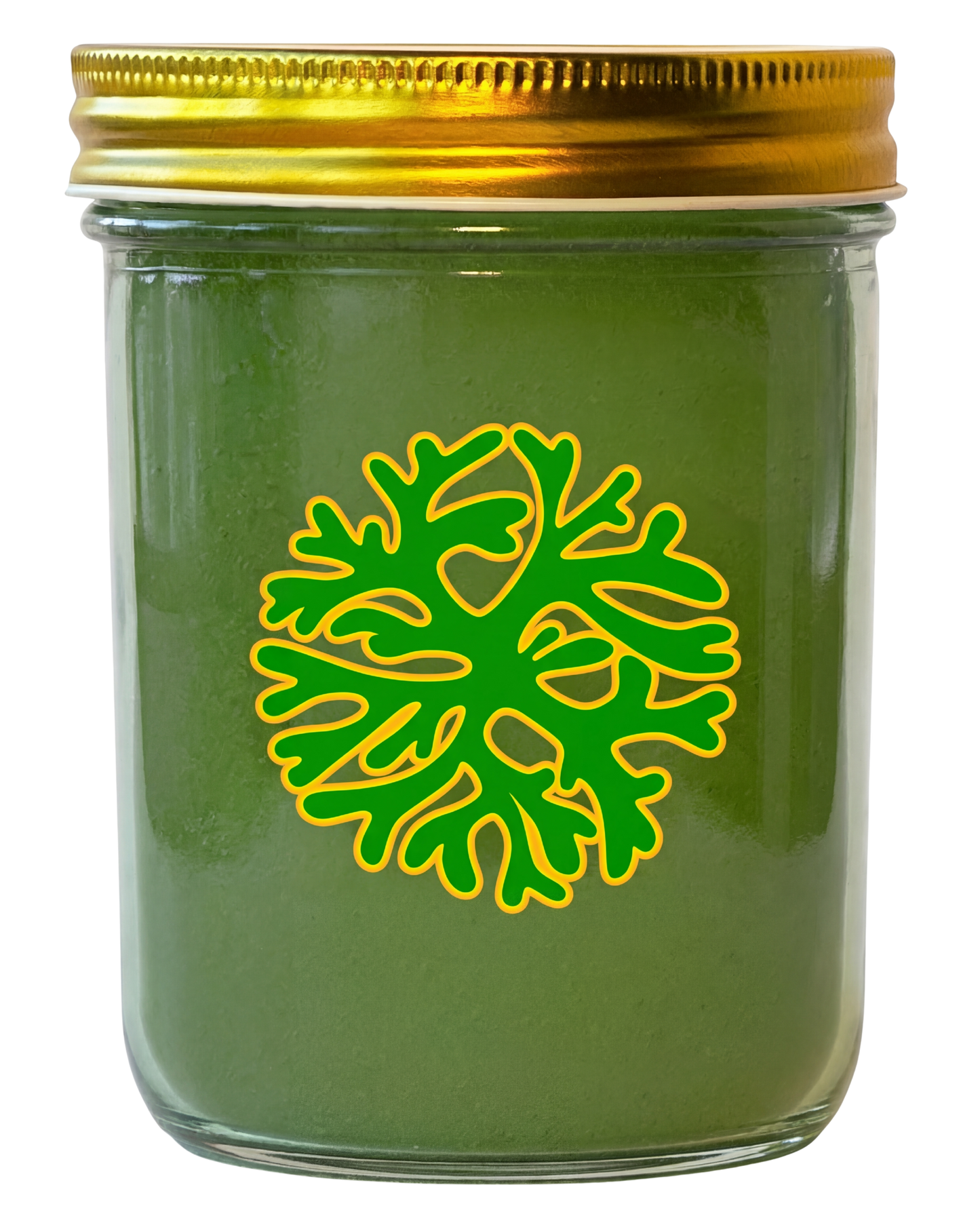 mendmoringa+