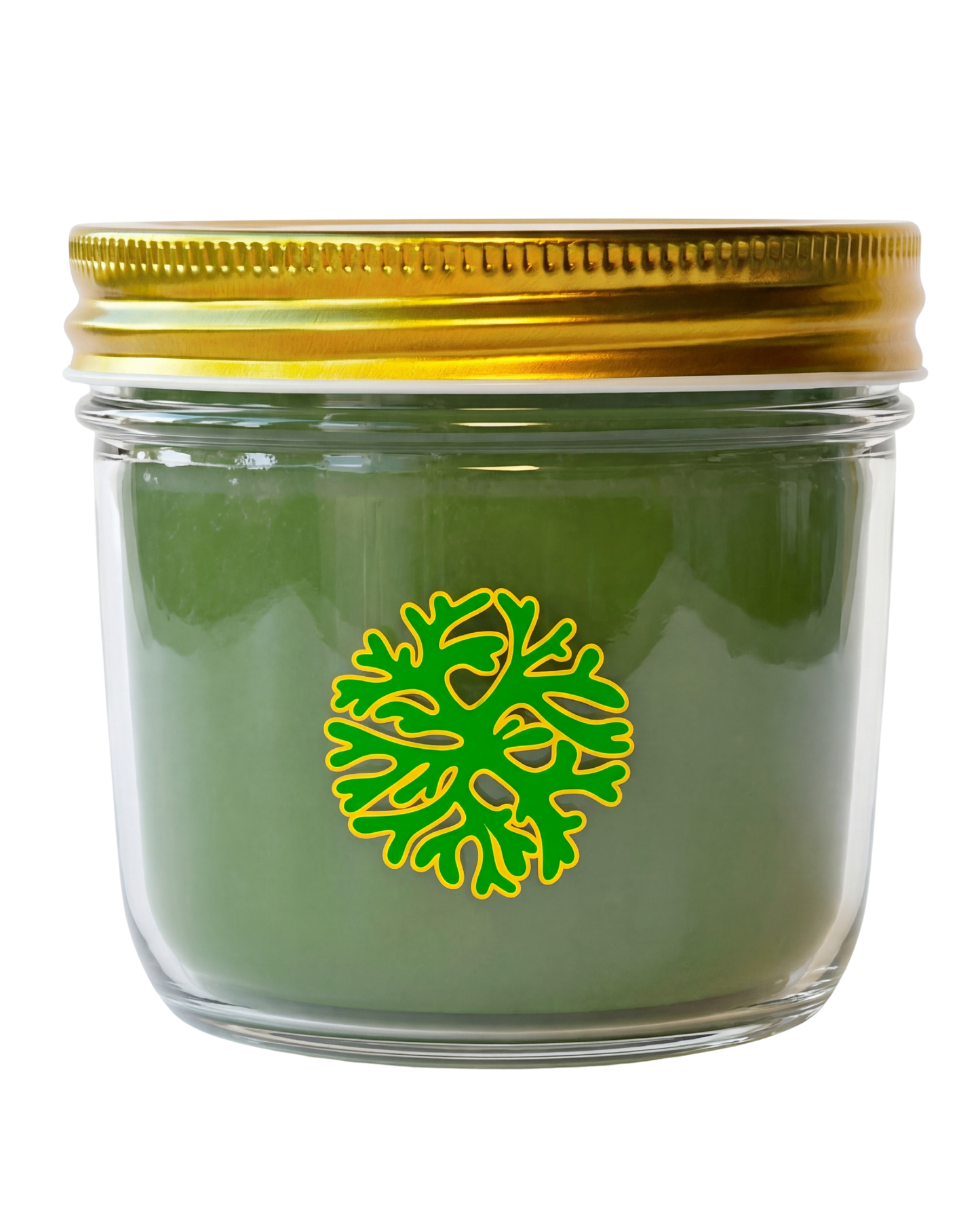 mendmoringa
